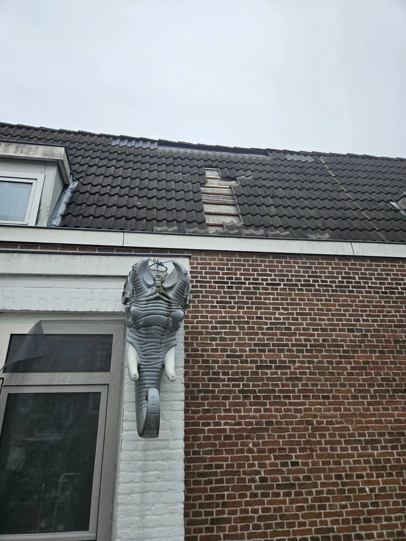 Pannendak met ontbrekende pannen, voor het herstel