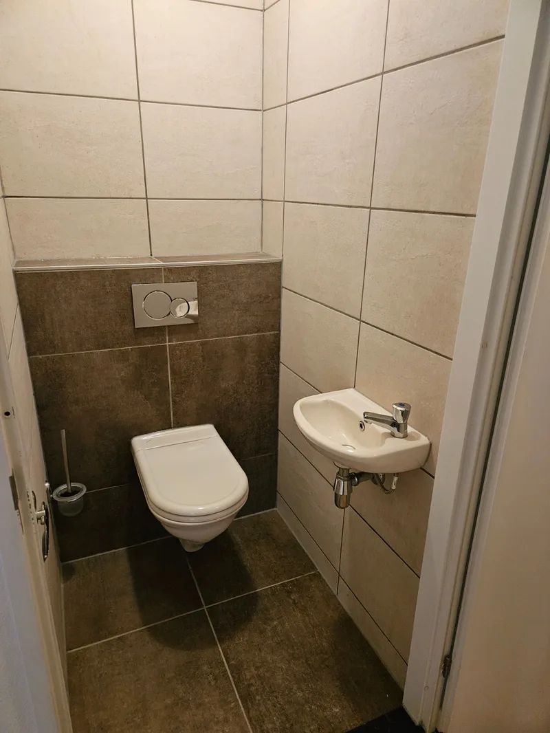 Nieuw toilet met hangtoilet, fonteintje en nieuwe tegels