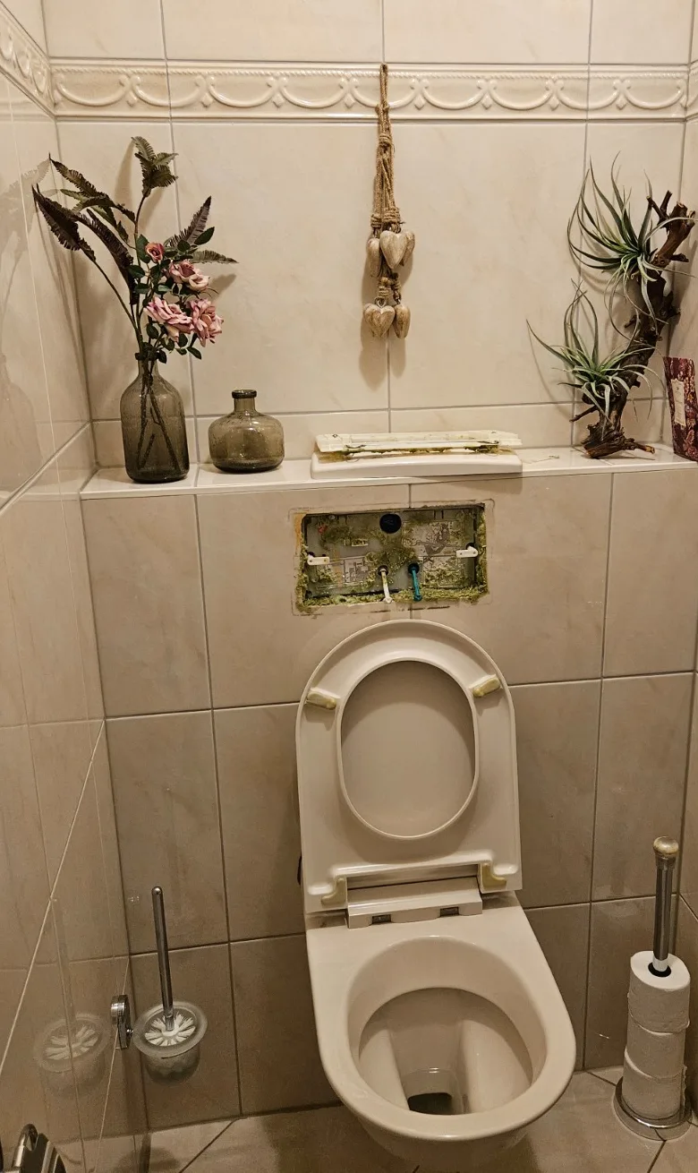 Oud toilet met oude tegels en een open inbouwreservoir